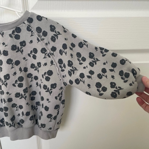Pre Owned Girls ZARA Floral Raglan Sweatshirt Sz 2-3 Yrs - Picture 5 of 7